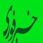 خبر فوری